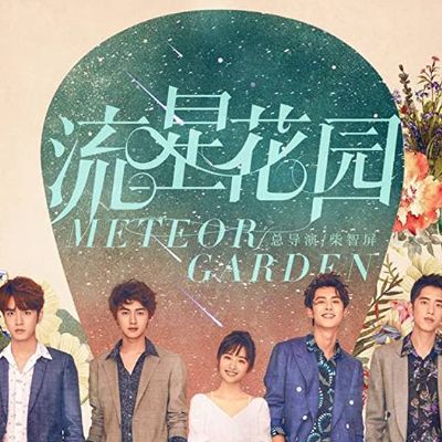 The poster shows all five standing with meteor garden written in both English and Chinese in background.